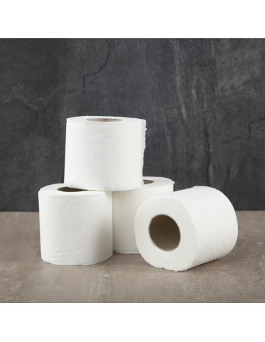 Rouleaux papier toilette Jantex 2 plis - lot de 40