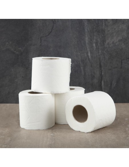 Rouleaux papier toilette Jantex 2 plis - lot de 40