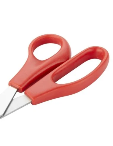 Ciseaux Hygiplas rouges