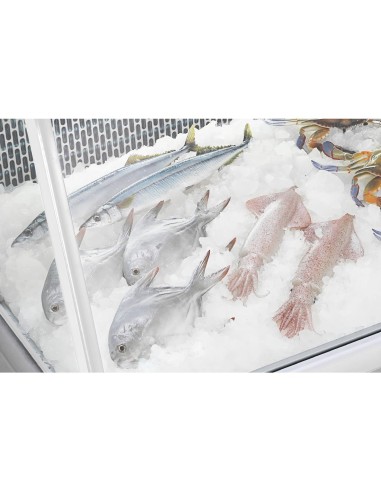 Vitrine réfrigérée Polar Série G 255L - comptoir poisson
