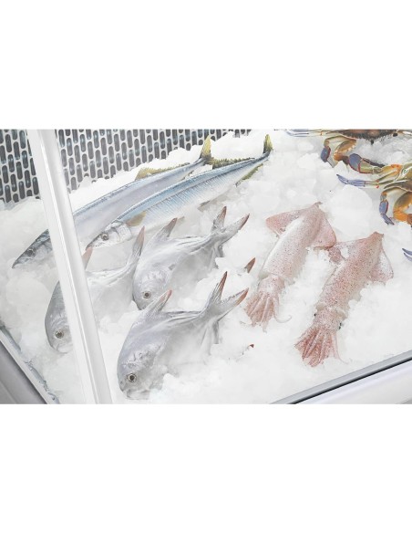 Vitrine réfrigérée Polar Série G 255L - comptoir poisson
