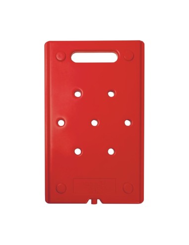 Plaque eutectique chaude Thermo Future Thermobox - 22x325x530 mm