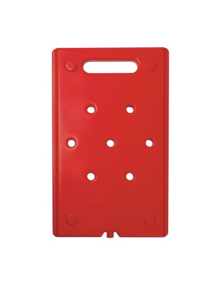 Plaque eutectique chaude Thermo Future Thermobox - 22x325x530 mm