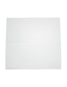 Serviettes snacking blanches 330x330 mm - Lot 5000 2