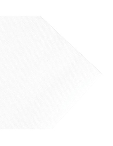 Serviettes déjeuner blanches compostables Duni 400mm - lot 750