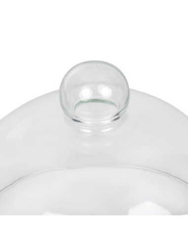 Cloche en verre 210mm - Présentation professionnelle