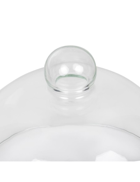 Cloche en verre 210mm - Présentation professionnelle