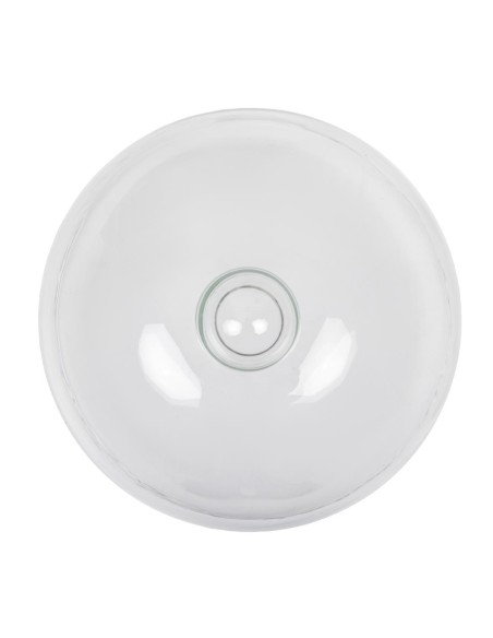 Cloche en verre 210mm - Présentation professionnelle