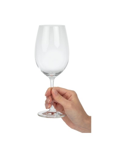 Verres à vin rouge Schott Zwiesel Ivento 480 ml - lot de 6