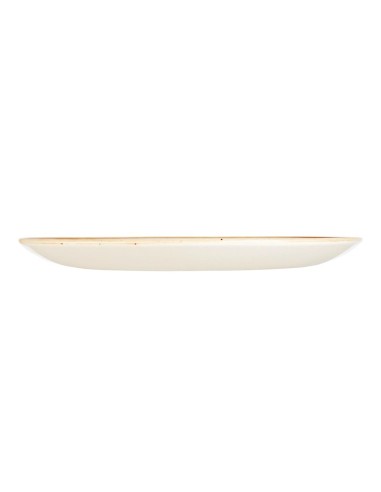 Assiettes Churchill Stonecast Orange 288mm - lot de 12