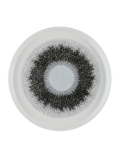 Assiettes Churchill Studio Prints Fusion Black 210mm - lot de 6
