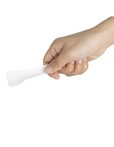 Cuillères à glace Fiesta Compostable 95 mm - lot de 100