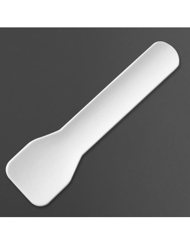 Cuillères à glace Fiesta Compostable 95 mm - lot de 100