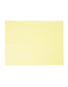 Chiffons non tissés Jantex jaunes - Lot de 25 (58 caractères) 2
