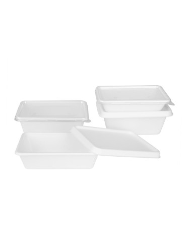 Barquettes bagasse Fiesta 500 ml - lot de 100