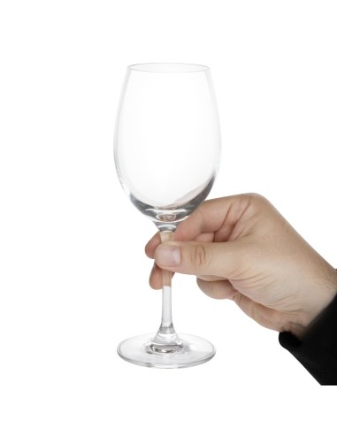 Verres à vin blanc Olympia Novello 255 ml - lot de 6