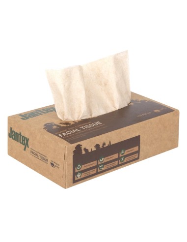 Mouchoirs Jantex Green 100% recyclé - 100 feuilles - lot de 36