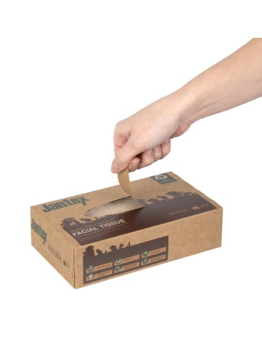 Mouchoirs Jantex Green 100% recyclé - 100 feuilles - lot de 36