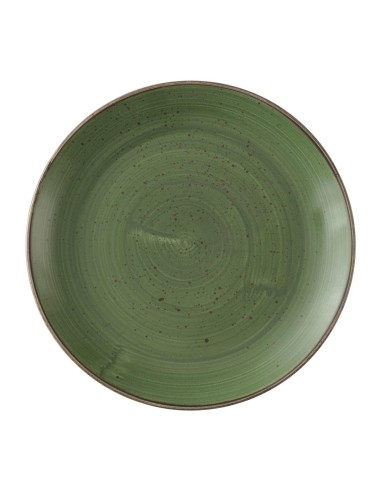 Assiettes Churchill Stonecast Vert Sauge 254mm - Lot de 12
