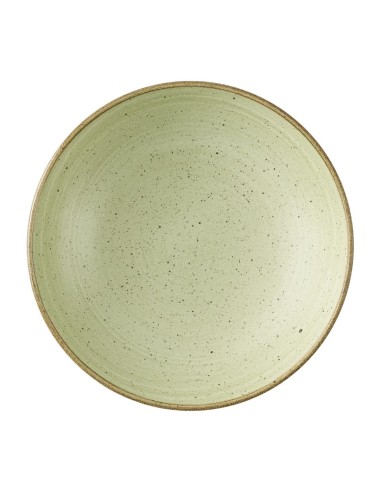 Bols Churchill Stonecast Raw Green Evolves 248mm - Lot de 12
