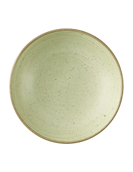 Bols Churchill Stonecast Raw Green Evolves 248mm - Lot de 12