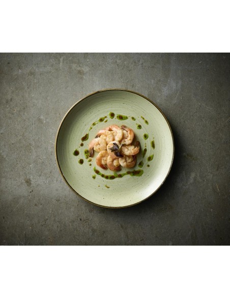 Assiettes Churchill Stonecast Raw Green 260 mm - Lot de 12