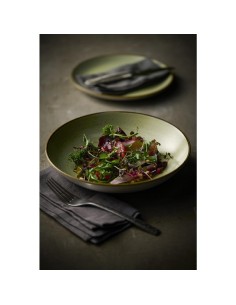 Assiettes Churchill Stonecast Raw Green Evolve 220mm - Lot de 12 2
