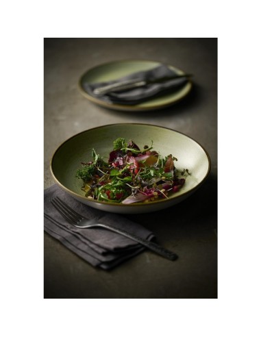 Assiettes Churchill Stonecast Raw Green Evolve 220mm - Lot de 12