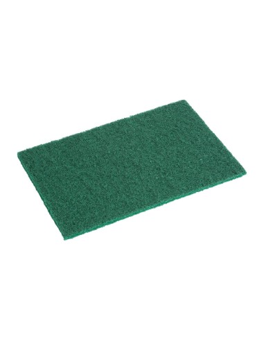 Grands tampons à récurer Jantex verts - lot de 10