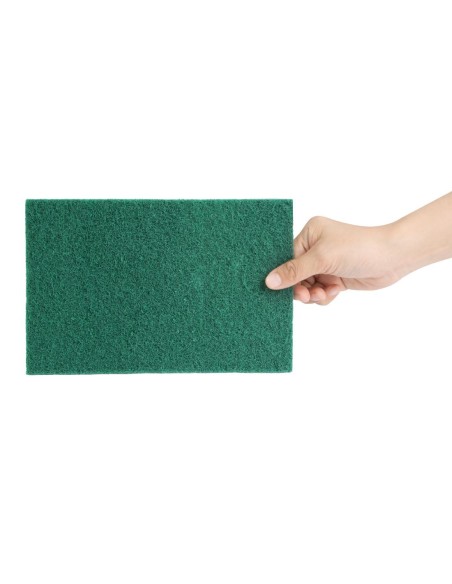 Grands tampons à récurer Jantex verts - lot de 10