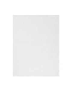 Papier d'emballage burger Fiesta Compostable 250x350 mm - Lot de 200