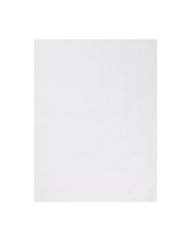 Papier d'emballage burger Fiesta Compostable 250x350 mm - Lot de 200