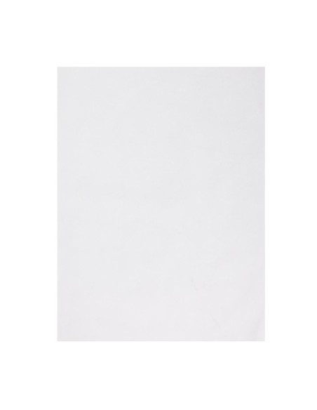Papier d'emballage burger Fiesta Compostable 250x350 mm - Lot de 200