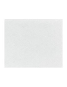 Papier d'emballage burger Fiesta Compostable 250x300mm - Lot de 200