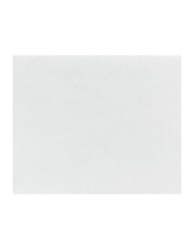 Papier d'emballage burger Fiesta Compostable 250x300mm - Lot de 200