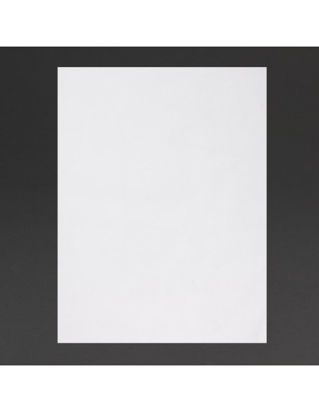 Papier d'emballage burger Fiesta Compostable 250x350 mm - Lot de 200