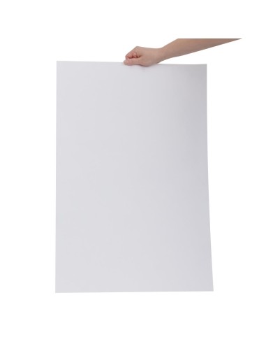 Papier compostable blanc 500x750mm - Lot de 200