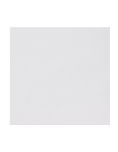 Doublures papier sulfurisé Fiesta Compostable 228mm - lot de 200