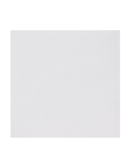 Doublures papier sulfurisé Fiesta Compostable 228mm - lot de 200