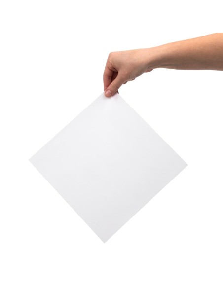 Doublures papier sulfurisé Fiesta Compostable 228mm - lot de 200