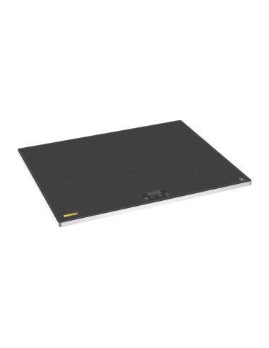 Plateau chauffant Buffalo GN 2/1 - 500W, design mince
