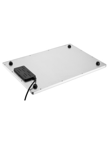 Plateau chauffant Buffalo GN 1/1 - Induction 230W