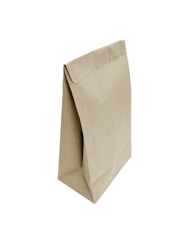 Sacs moyens à soufflet Fiesta Recyclable - Lot de 250