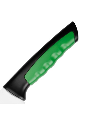 Couteau Hygiplas Pro vert 25 cm - Coupe fruits & salades