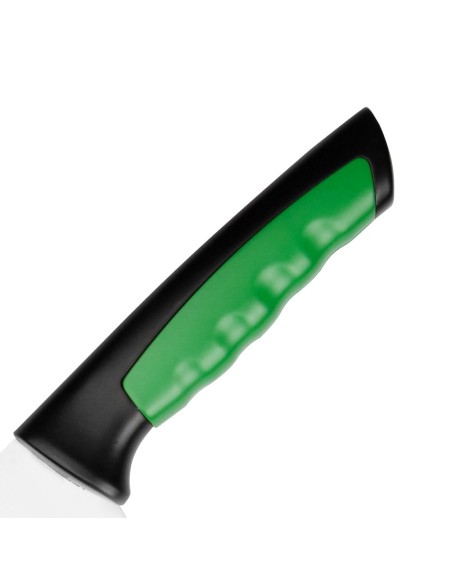 Couteau Hygiplas Pro vert 25 cm - Coupe fruits & salades