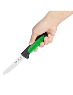 Couteau à tomate denté Hygiplas Pro vert 10 cm - cuisine pro 2