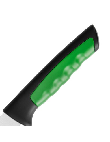 Couteau à tomate denté Hygiplas Pro vert 10 cm - cuisine pro