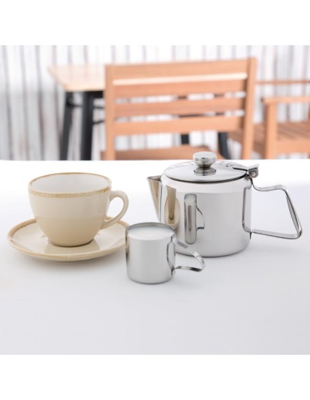 Théière inox Concorde Olympia 560 ml - Élégance et praticité