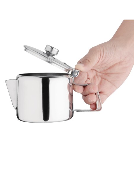 Théière inox Concorde Olympia 290 ml - Élégance et praticité