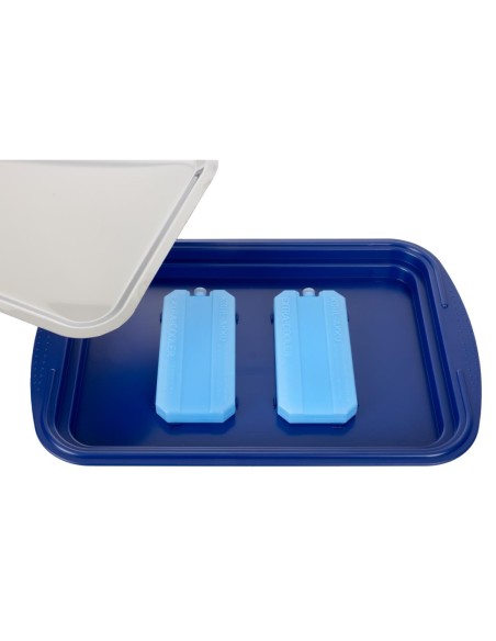 Plateau de présentation réfrigéré APS - 5 pièces bleu